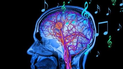 Ученые выяснили, по какому принципу мозг выбирает любимую музыку