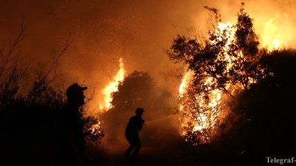 В Европе вновь бушуют лесные пожары 