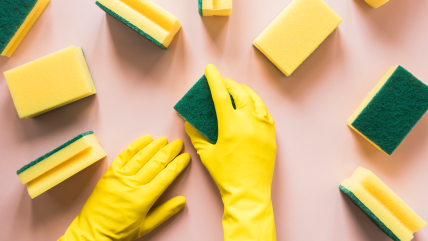 Губки имеют жесткую сторону