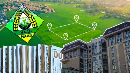 Коллаж "Телеграфа"