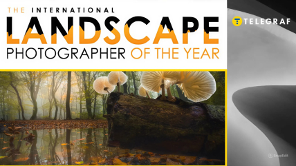 Иллюстративное фото