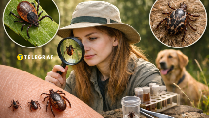 Как обезопасить себя от клещей