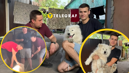 Что заявили в компании