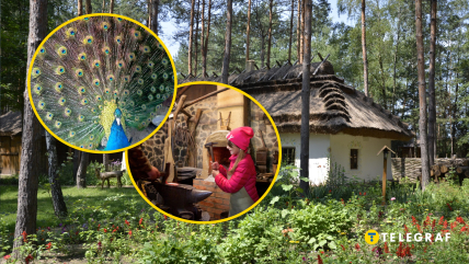 Райский уголок под Киевом