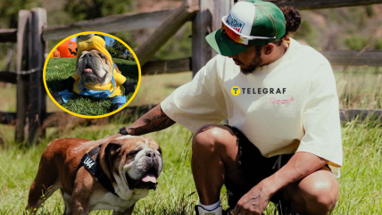 Льюїс Гамільтон повідомив про смерть свого бульдога Роско