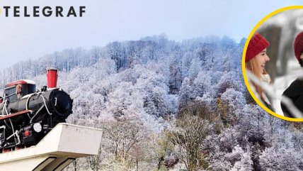 Ліс у Карпатах