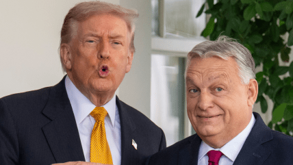 Дональд Трамп та Віктор Орбан