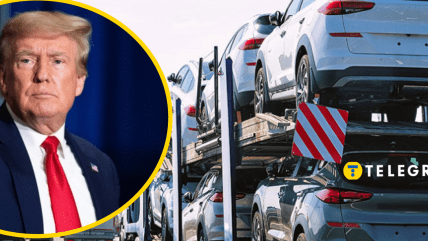 Мита Трампа