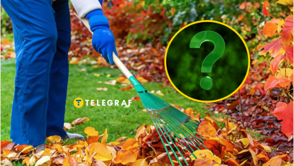 Осінній сад