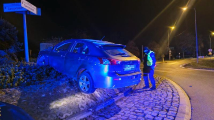 П'яне водіння привело українця на клумбу