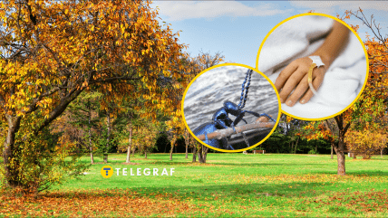 Жук може вкласти на лікарняне ліжко