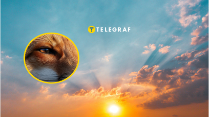 Під сонцем на Одещині грілася хижачка