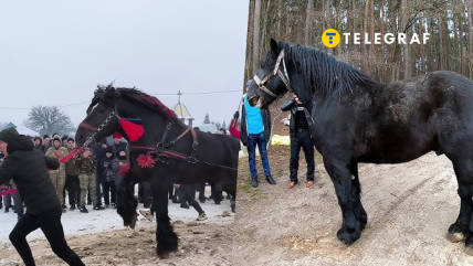 Фестивал в Прикарпатье вызвал возмущение в соцсетях
