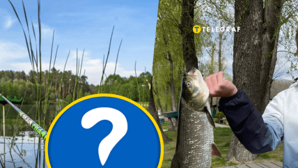Рыбалка на Днепре порадовала уловом
