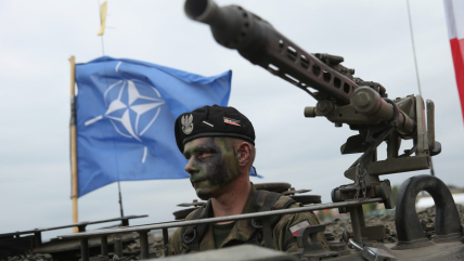 Війська НАТО в Україні