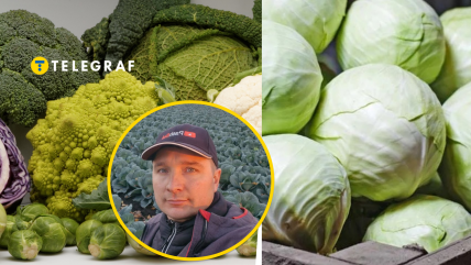 Павел Булгаков