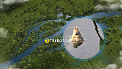 Поймать на крючок карася — проще, чем осетра