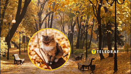 Будет много "золотых" дней