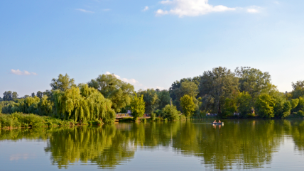 Став на річці Стугна