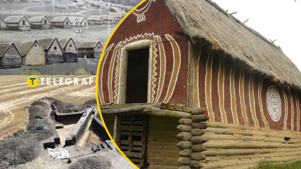Як виглядали будинки поселення трипільців