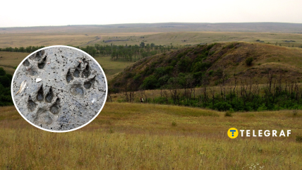 Коллаж, "Телеграф"