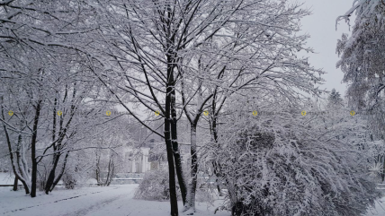 Львів засипає снігом