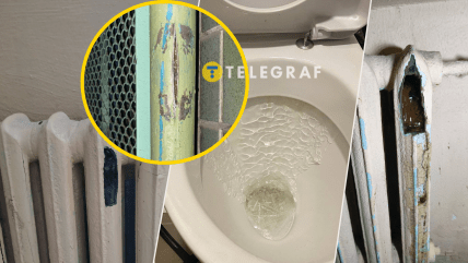 Последствия мороза