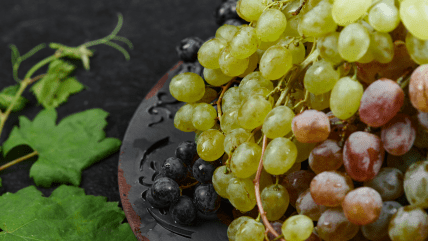Виноград