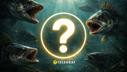 В Десне выловили ротана