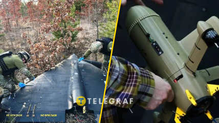 Shahed VS дрон-перехватчик