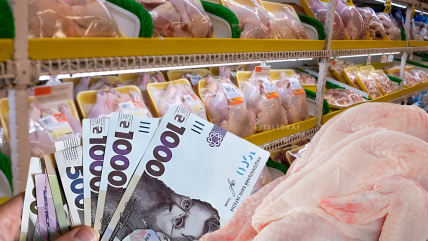 Курятина. Колаж: "Телеграф"