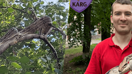 На помощь пришли специалисты