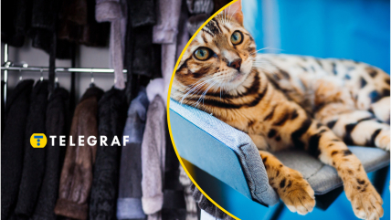 Незвичайну річ обговорюють у соцмережах