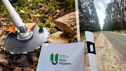 Леса Украины