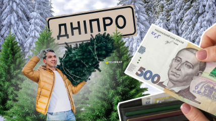 Елки в Днепре