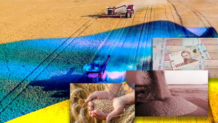 Расходы в сельском хозяйстве растут. Фото Коллаж "Телеграфа"