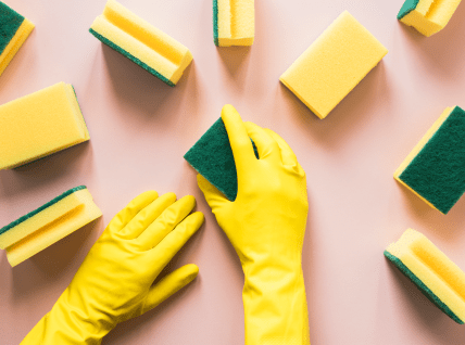 Губки имеют жесткую сторону