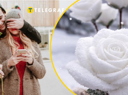 Роза из снега