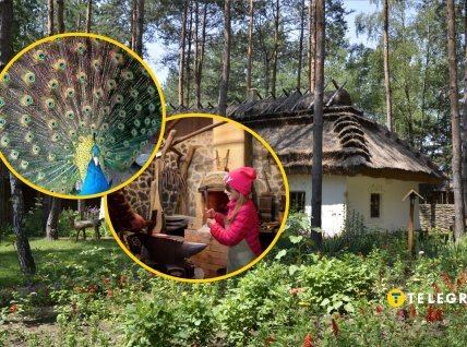 Райский уголок под Киевом