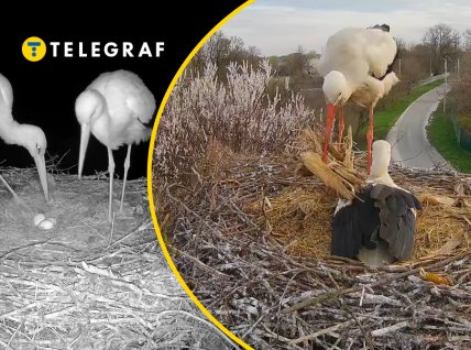 Грицик и Одарка