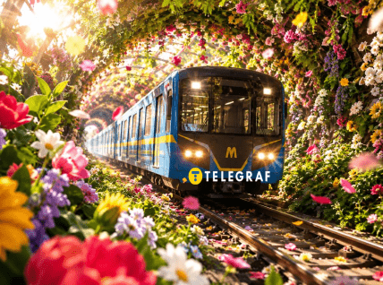 Коллаж "Телеграфа"