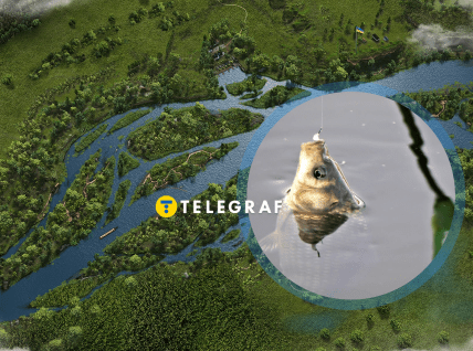 Поймать на крючок карася — проще, чем осетра