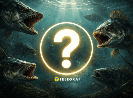 В Десне выловили ротана