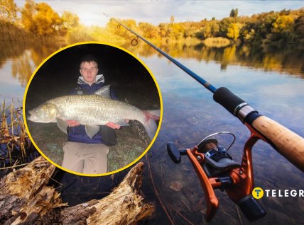 Рыбак похвастался добычей