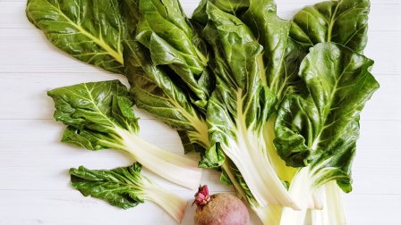 Мангольд (видео)