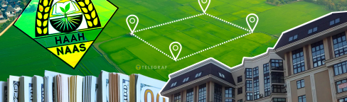 Коллаж "Телеграфа"