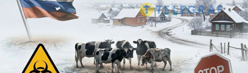 В некоторых округах ввели карантин