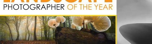 Иллюстративное фото