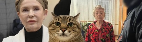 Юлия Тимошенко и глава ВЛК с Днепропетровщины