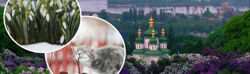 Киев, кот и Киев весной